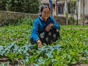 Gangles Organic Village Homestay
